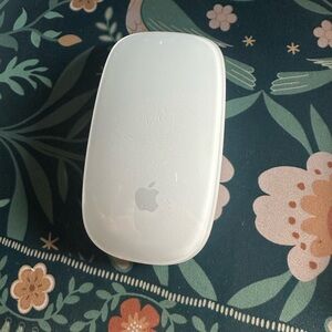 Apple Magic Mouse gently used, does not come in box.